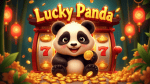 Lucky Panda